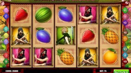 Ninja Fruits Slot Game