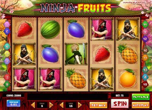 Ninja Fruits Slot Review