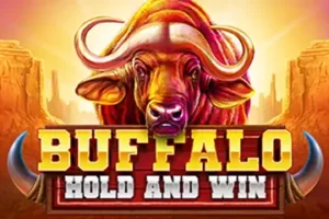 buffalo hold and win slot logo 1 300x200 - buffalo-hold-and-win-slot-logo